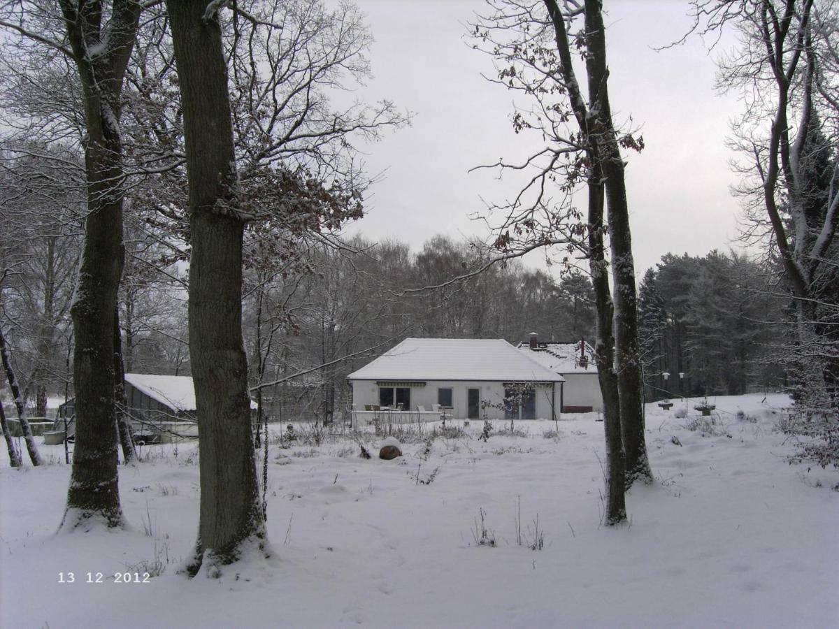 Ferienhaus Huus Ton Witten Barg Undeloh Zewnętrze zdjęcie